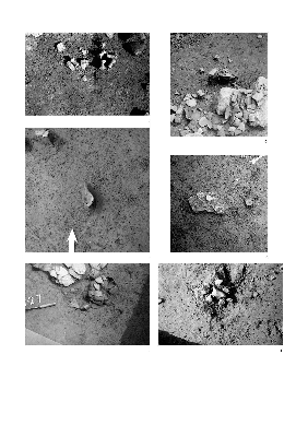 PMBH_PUB_2015_BondarM_04_Plate53.jpg