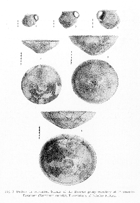 PMBH_PUB_2015_BondarM_01_Fig03.jpg