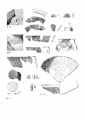 PMBH_PUB_2015_BondarM_02_Plate35.jpg