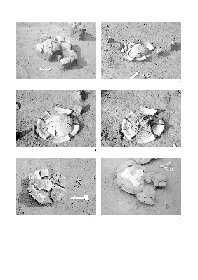 PMBH_PUB_2015_BondarM_04_Plate59.jpg