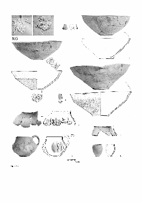 PMBH_PUB_2015_BondarM_02_Plate30.jpg