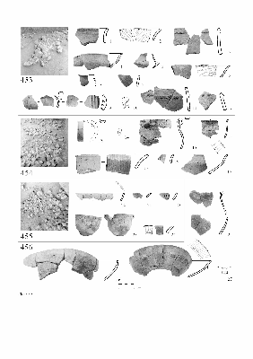 PMBH_PUB_2015_BondarM_02_Plate50.jpg