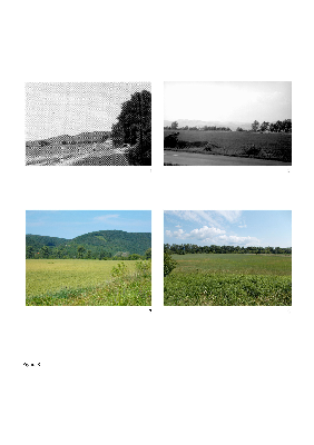 PMBH_PUB_2015_BondarM_01_Fig08.jpg
