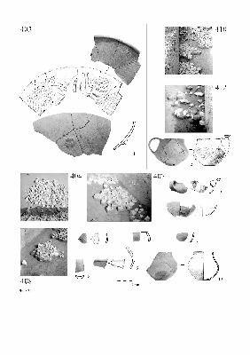 PMBH_PUB_2015_BondarM_02_Plate31.jpg