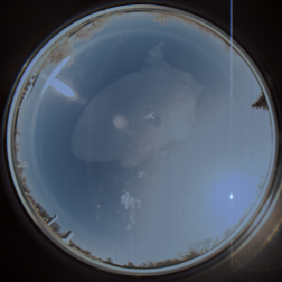capture_202111211129_1287.Png