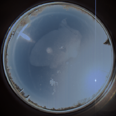 capture_202111211132_1290.Png
