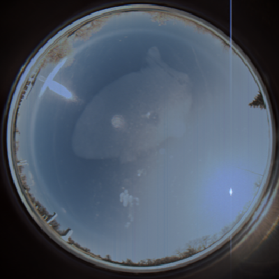 capture_202111211136_1294.Png
