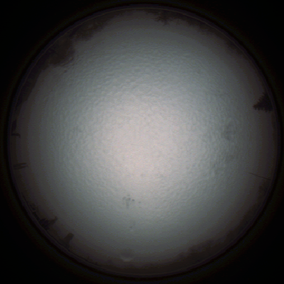 capture_202111220736_1605.Png