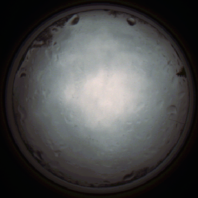 capture_202111261336_4169.Png