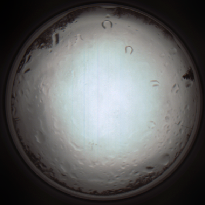 capture_202111261206_4079.Png