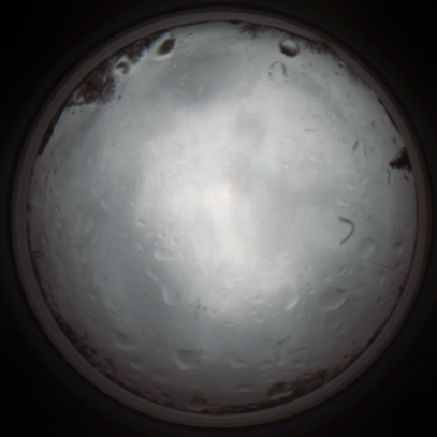capture_202111261308_4141.Png