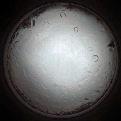 capture_202111261204_4077.Png