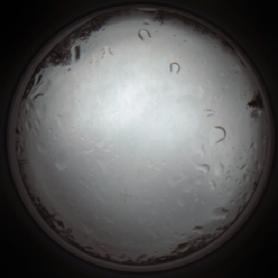 capture_202111261203_4076.Png