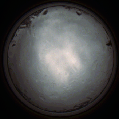 capture_202111261335_4168.Png