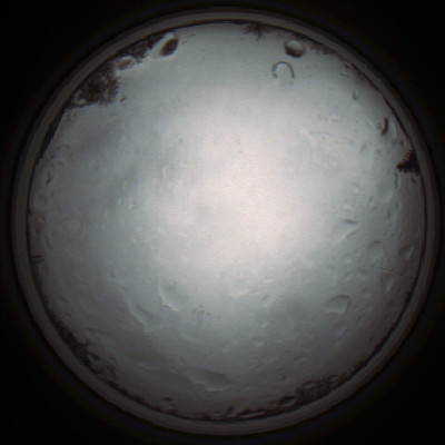 capture_202111261319_4152.Png