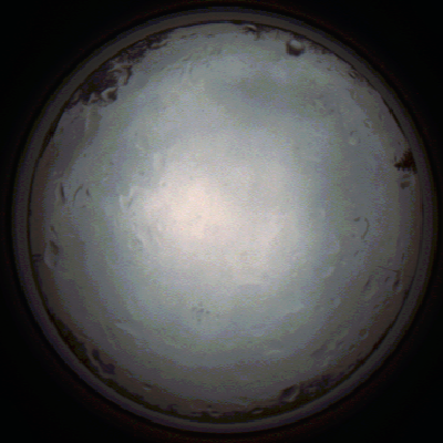 capture_202111261359_4192.Png
