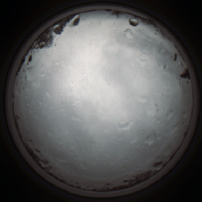 capture_202111261304_4137.Png