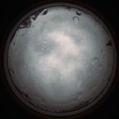 capture_202111261327_4160.Png