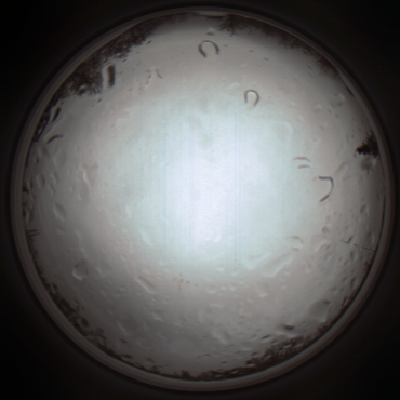 capture_202111261205_4078.Png