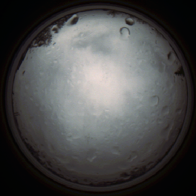 capture_202111261325_4158.Png