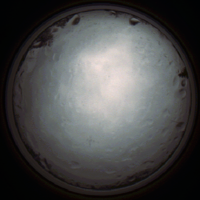capture_202111261342_4175.Png