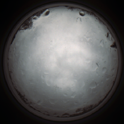 capture_202111261306_4139.Png