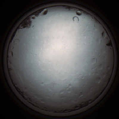 capture_202111261323_4156.Png