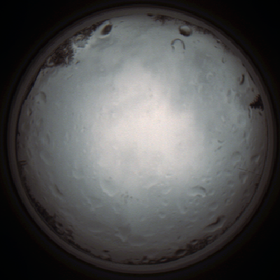 capture_202111261318_4151.Png