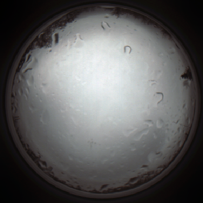 capture_202111261202_4075.Png