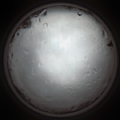 capture_202111261249_4122.Png