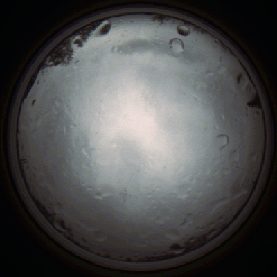 capture_202111261326_4159.Png