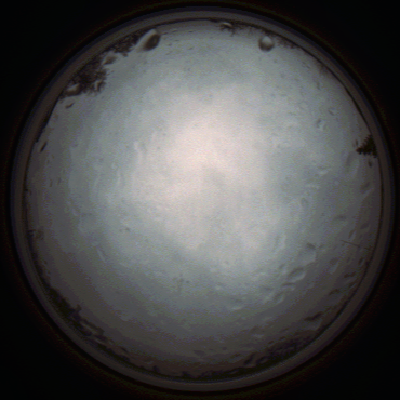capture_202111261346_4179.Png