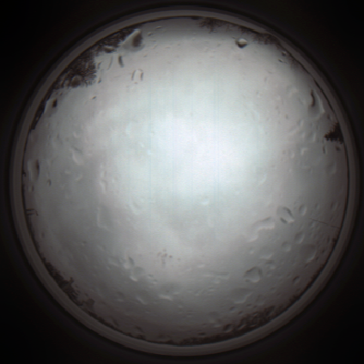 capture_202111261248_4121.Png