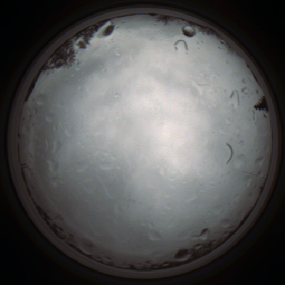 capture_202111261312_4145.Png