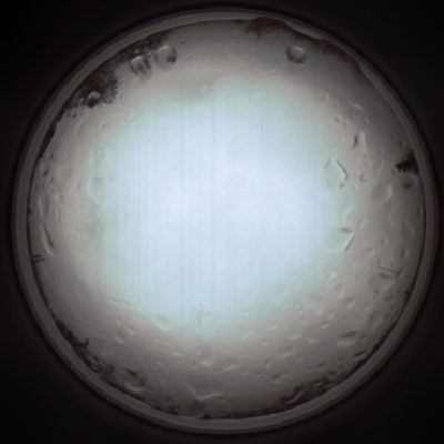 capture_202111261228_4101.Png