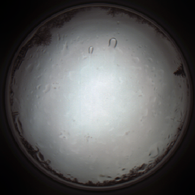 capture_202111271401_4734.Png