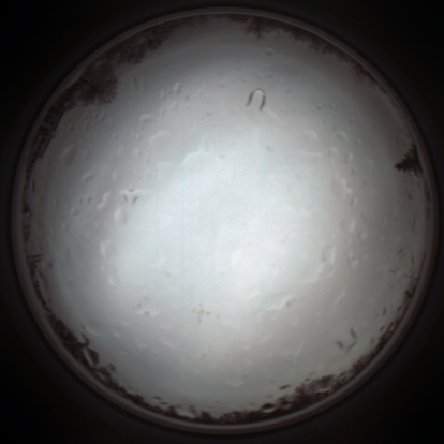 capture_202111271400_4733.Png