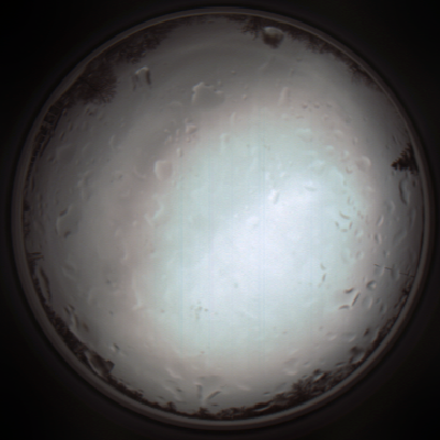 capture_202111271405_4738.Png