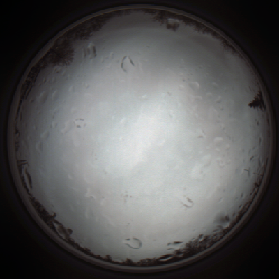 capture_202111271403_4736.Png