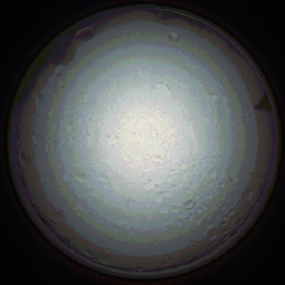 capture_202111280751_4916.Png
