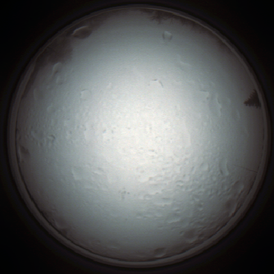 capture_202111280906_4991.Png