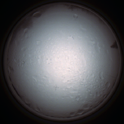 capture_202111280856_4981.Png