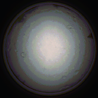 capture_202111281431_5316.Png