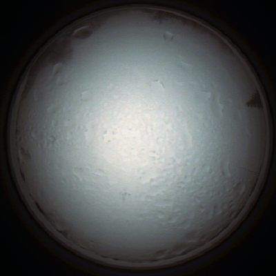 capture_202111280836_4961.Png