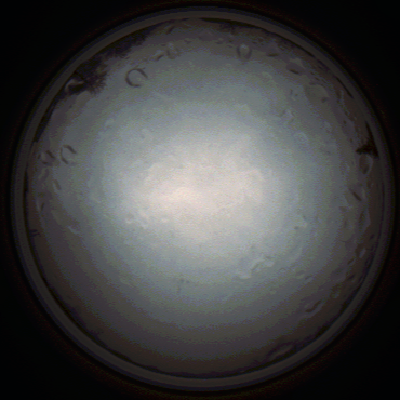 capture_202111281339_5264.Png