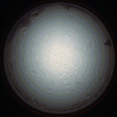 capture_202111280801_4926.Png