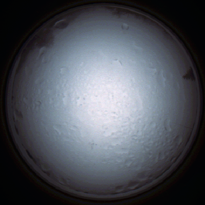 capture_202111280846_4971.Png