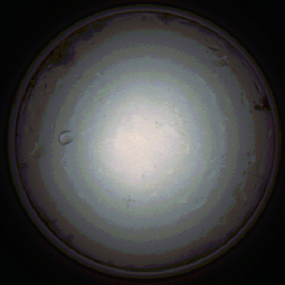 capture_202111281413_5298.Png