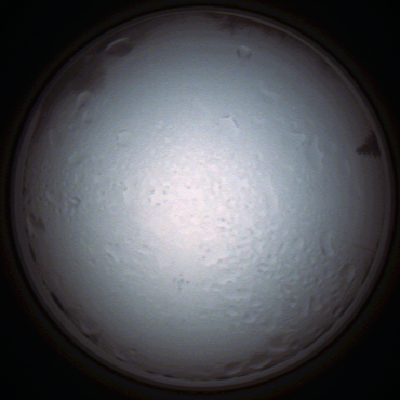 capture_202111280839_4964.Png