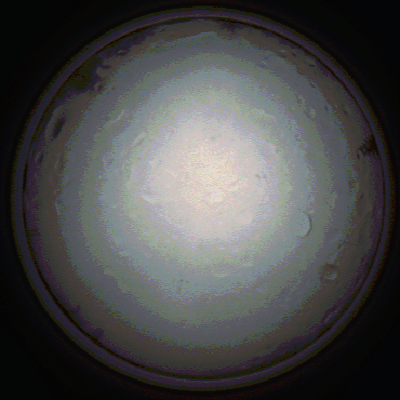 capture_202111281450_5335.Png